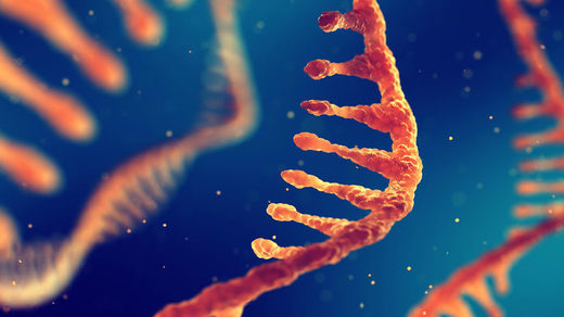 Click to enlarge CRISPR