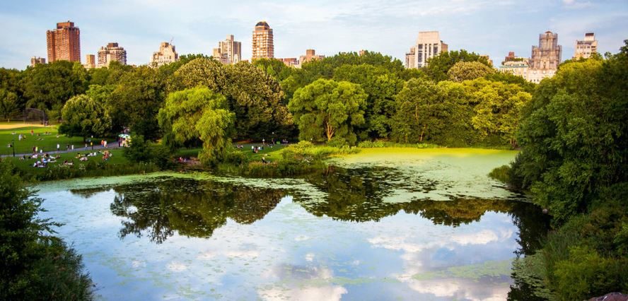 Click to enlarge Central Park