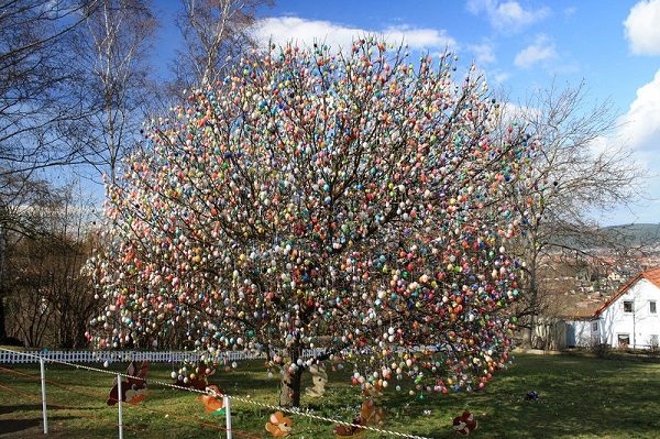 Click to enlarge Egg tree