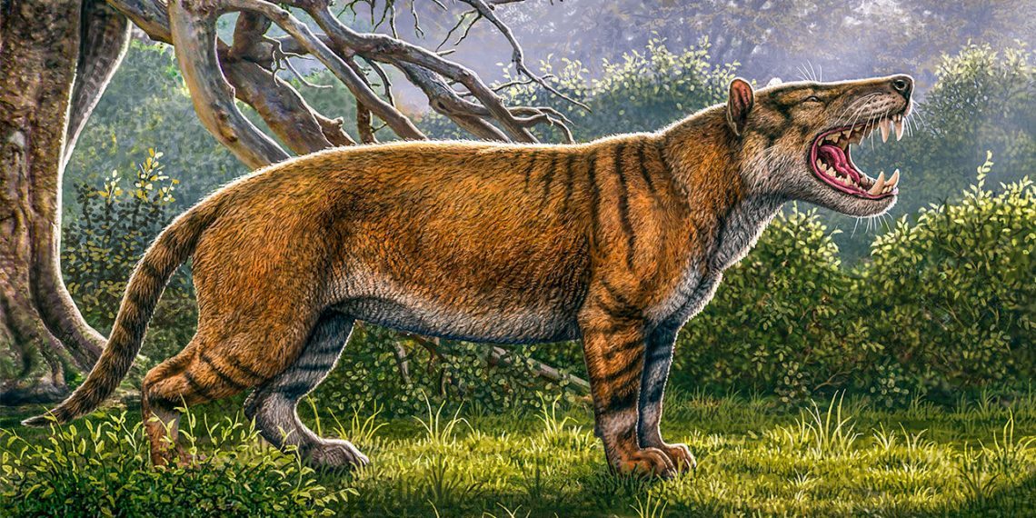 Ancient Lion