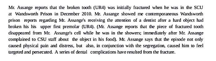 Click to enlarge AssangeReport