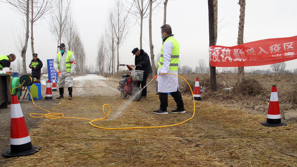 Click to enlarge Hebei swine flu