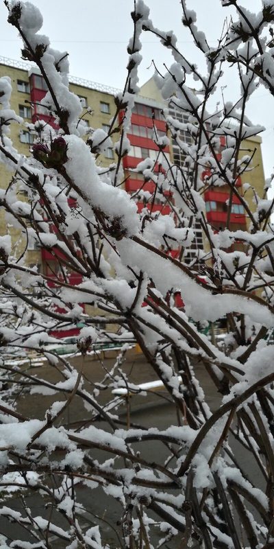 Russia spring