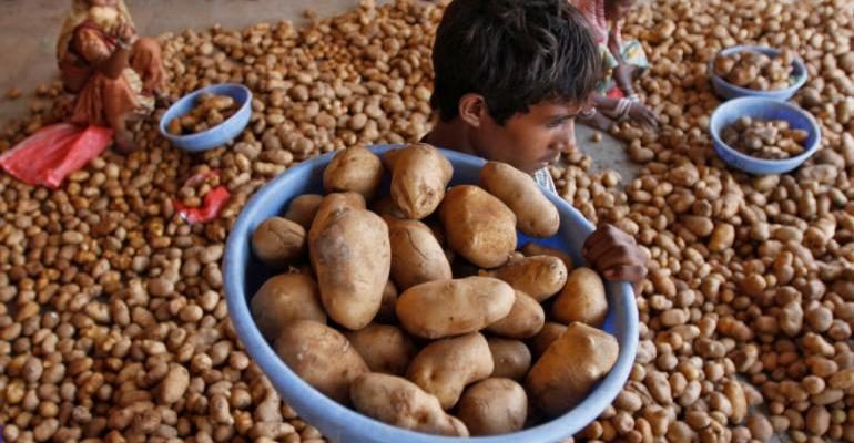 pepsico sues indian farmers potatoes