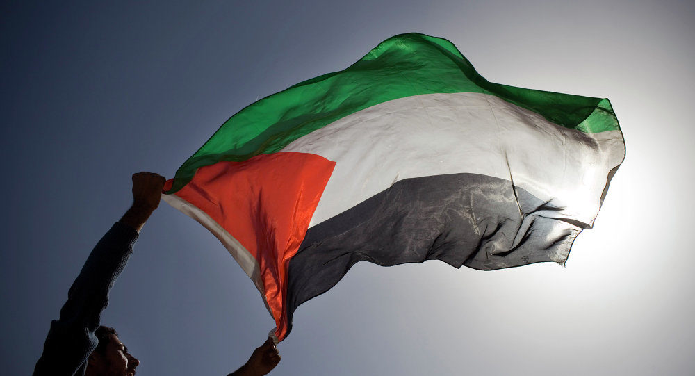 palestinian flag