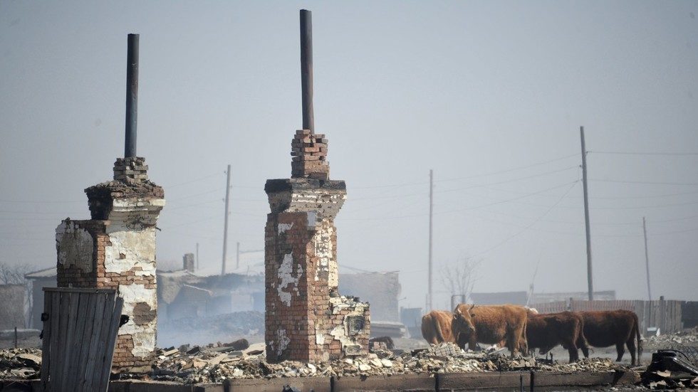 wildfire Trans-Baikal Siberia