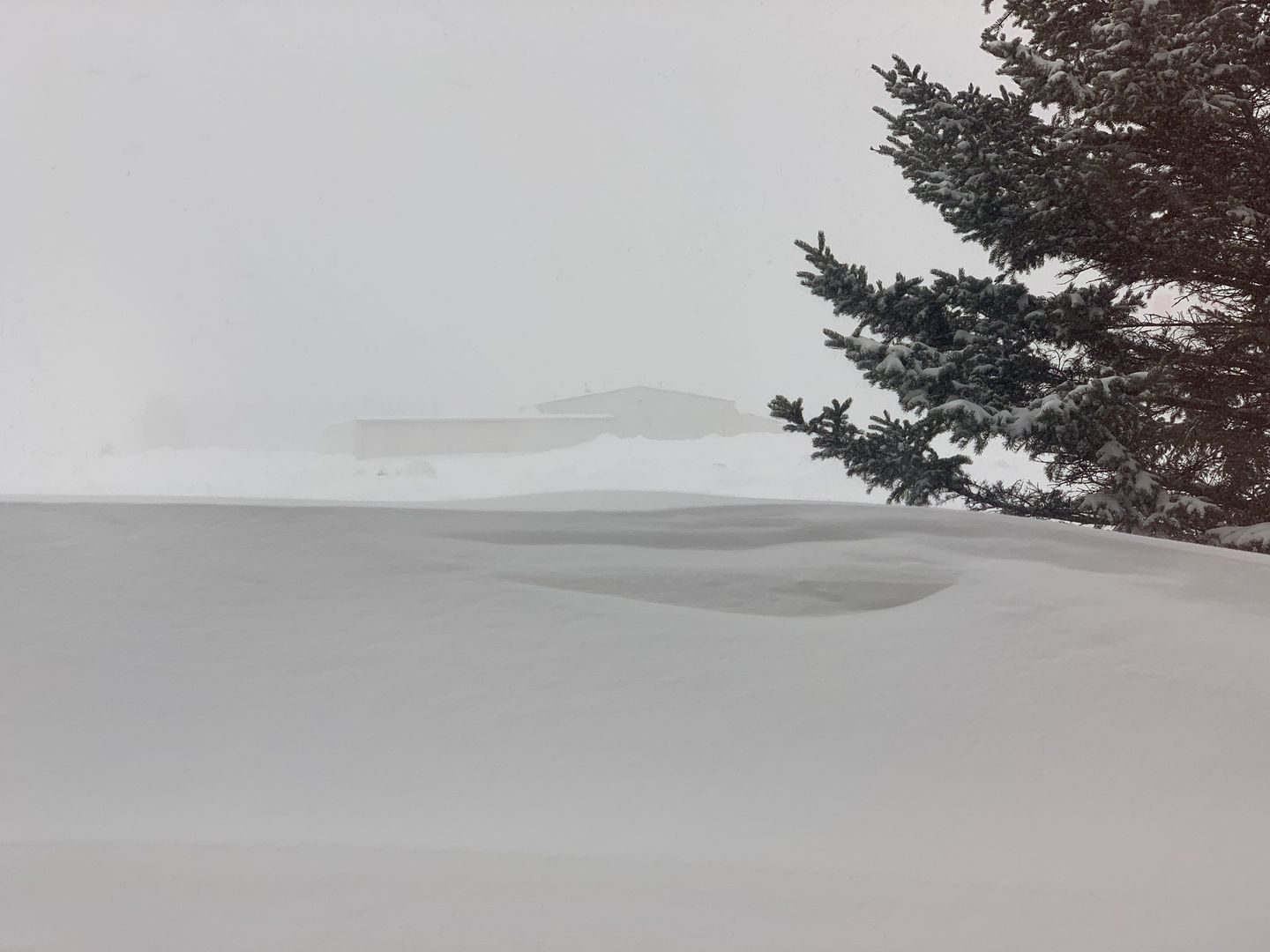A storm earlier this month