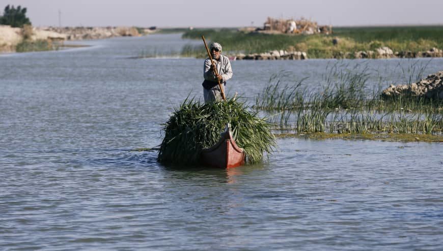 An Iraqi Marsh Arab paddles his boat as he collects reeds at the Chebayesh marsh in Dhi Qar province, Iraq, April 14.