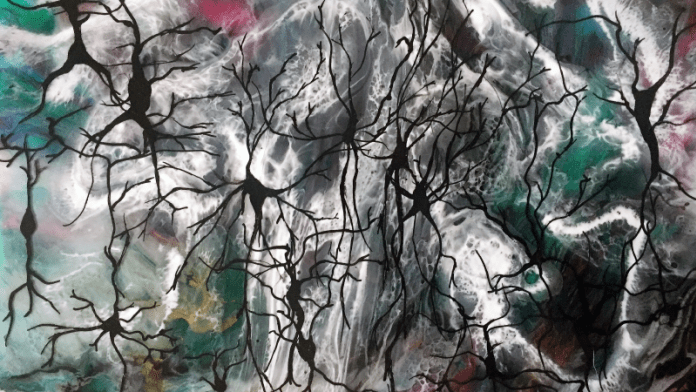 brain neurons synapses hallucination