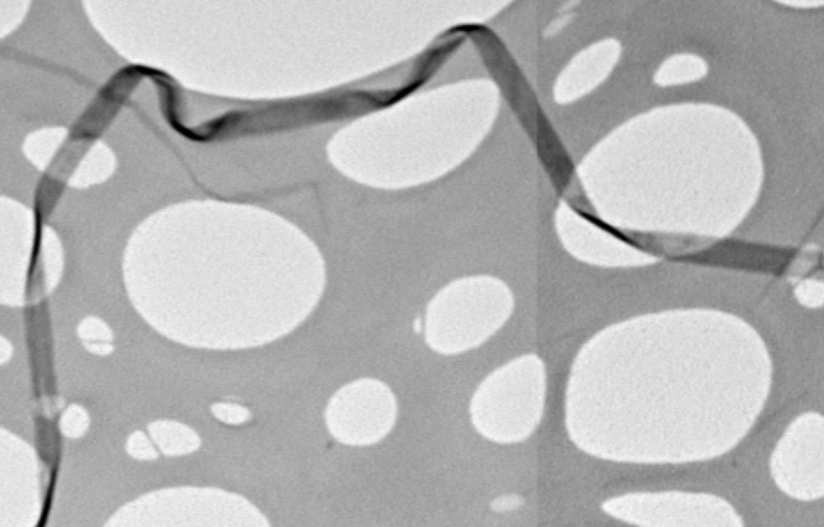 Click to enlarge nanoribbon carbon grid