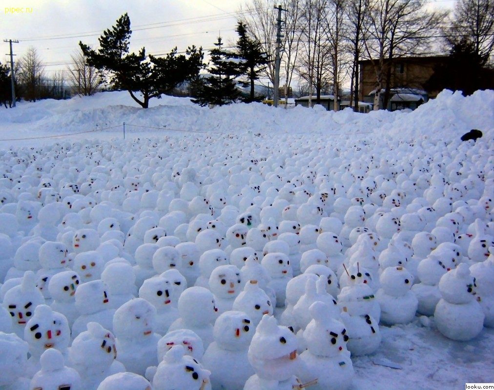 Global warming protesters