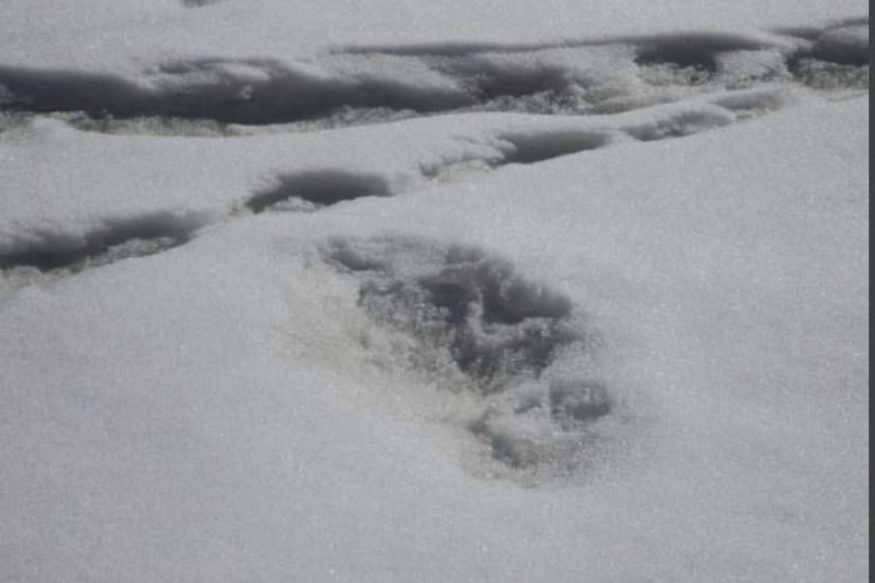 Click to enlarge Yeti Footprint