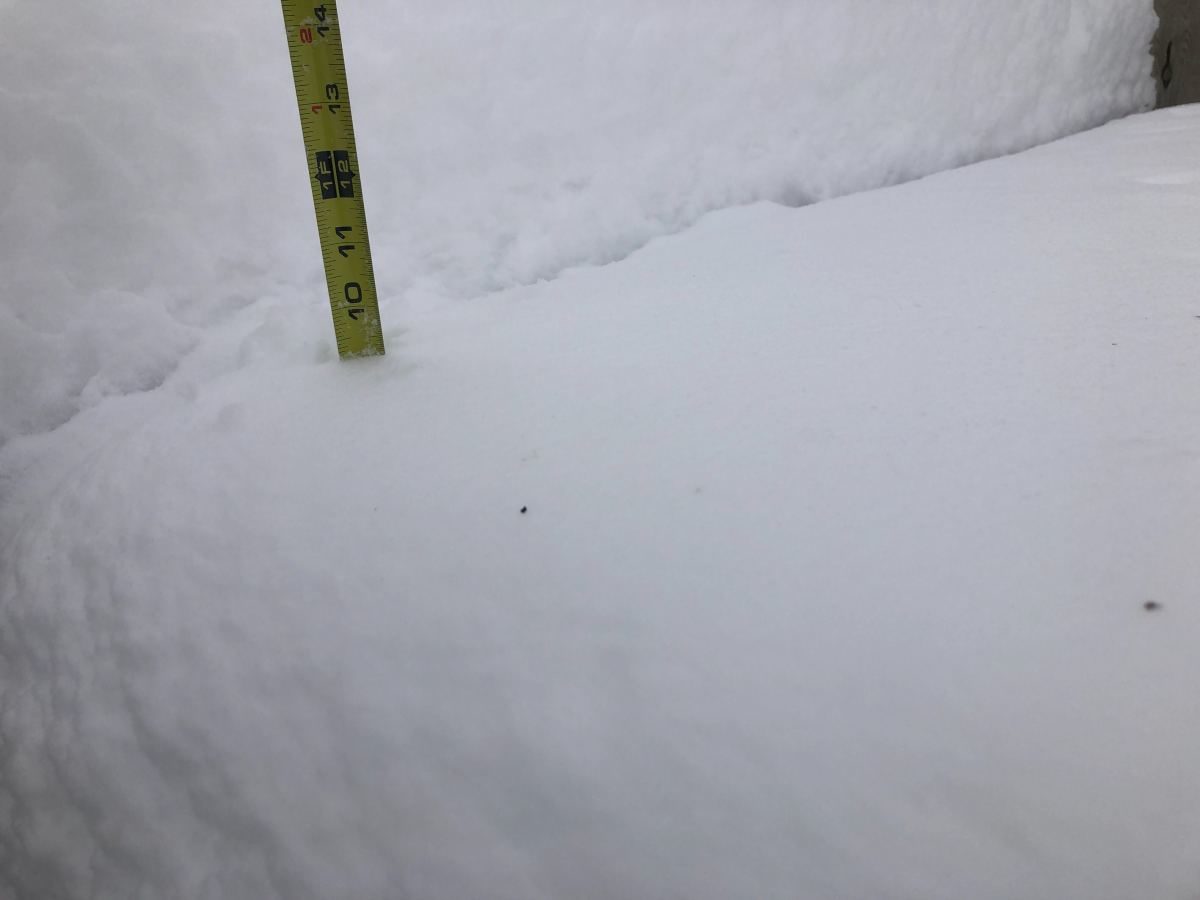 WHITE STUFF
