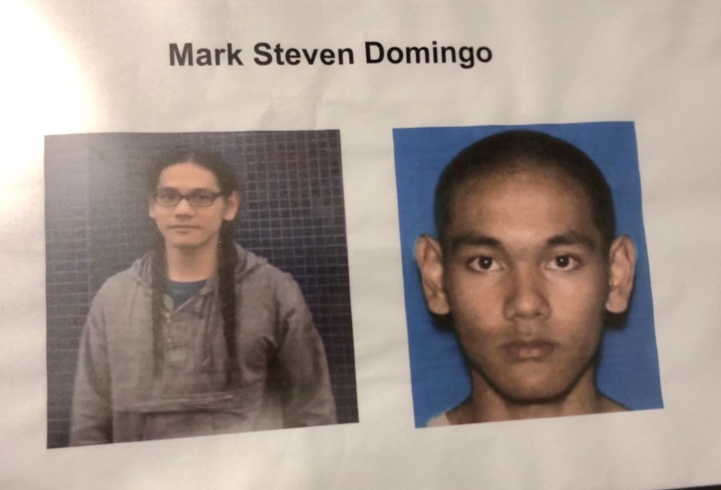 Mark Steven Domingo terror attack plot
