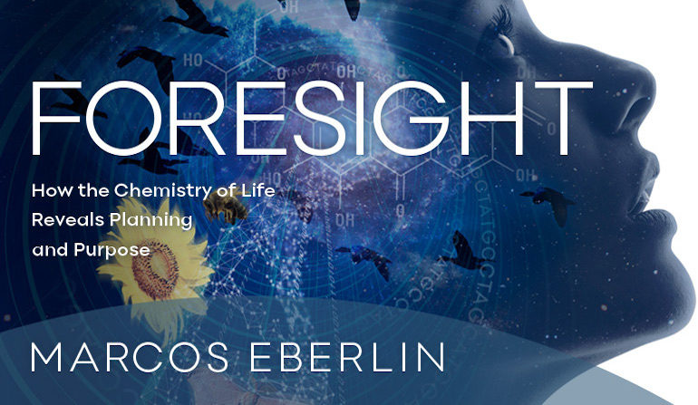 eberlin foresight