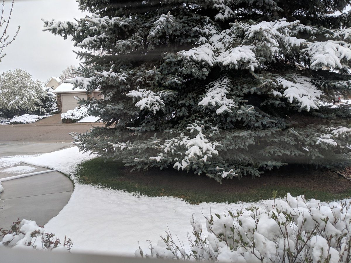 Springtime snow on the Front Range in Windsor, Colorado, on Tuesday, April 30.