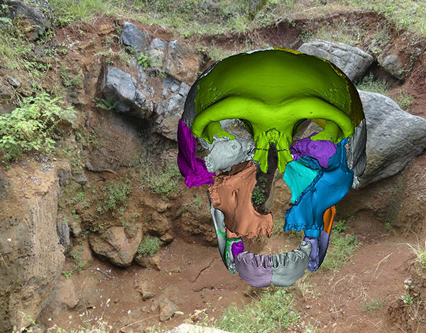 Hualongdong Middle Pleistocene human skull