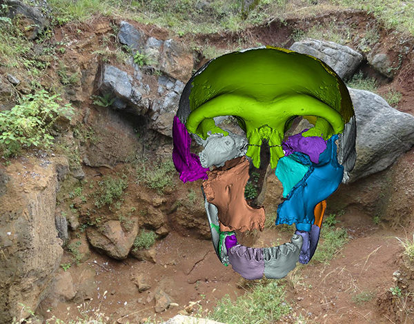 Click to enlarge Hualongdong Middle Pleistocene human skull