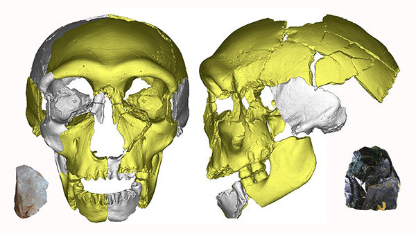 Click to enlarge Hualongdong skull