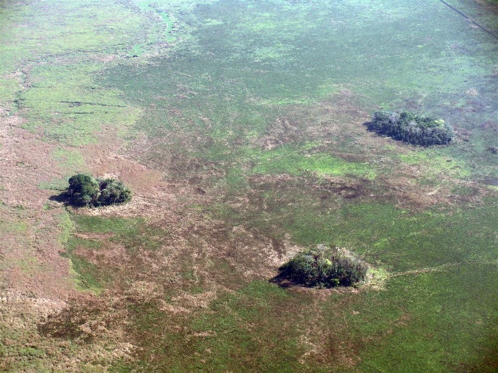 Llanos de Moxos