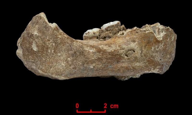 Click to enlarge denisovan tibet