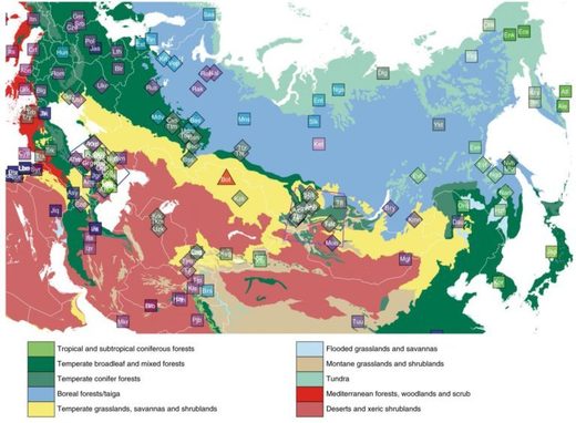 Click to enlarge inner eurasia map history