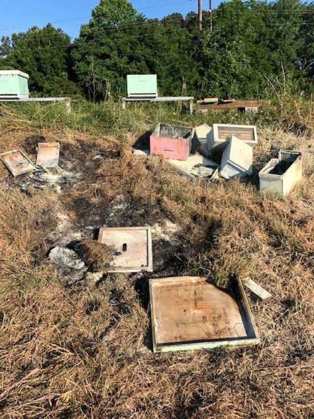 Destroyed beehives