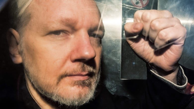 assange