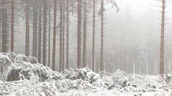 snow Belgium