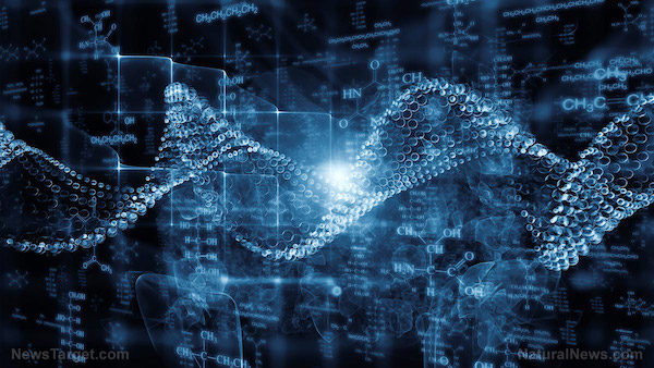 DNA sequence