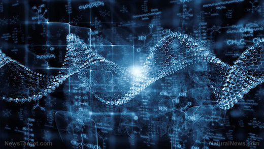 DNA sequence