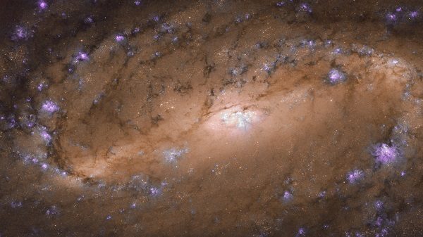 NGC 2903 galaxy