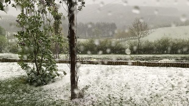 snow