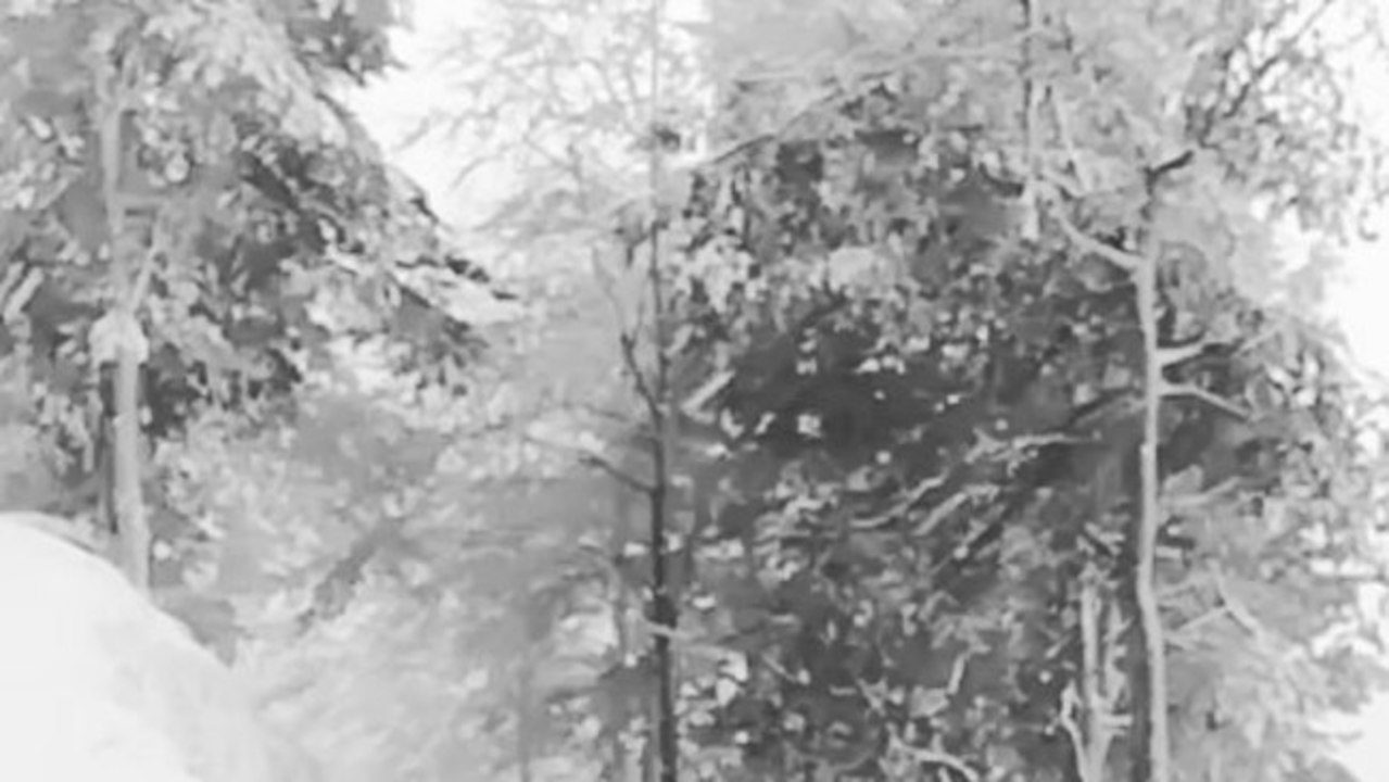 snow