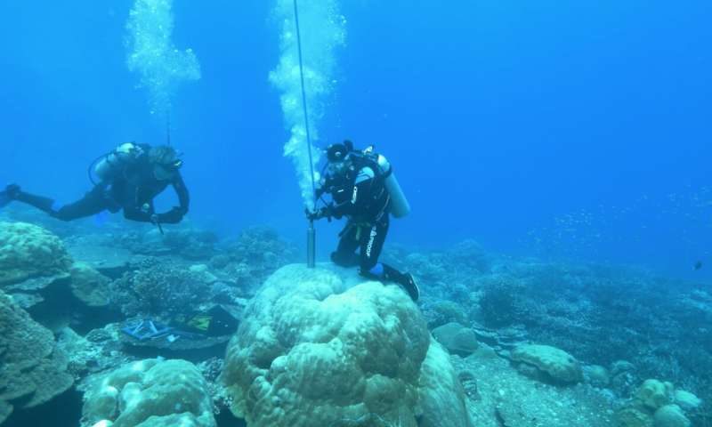 coral