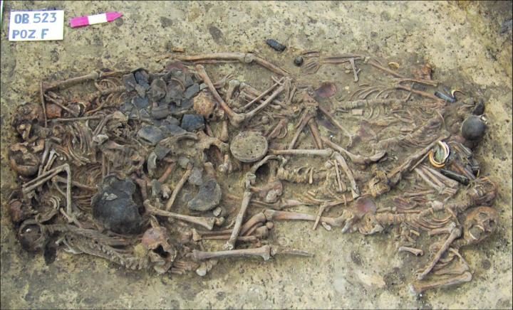 Click to enlarge mass neoilithic grave poland