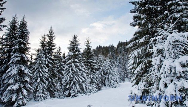 Click to enlarge Snow falls in Ukraine’s Carpathian mountains