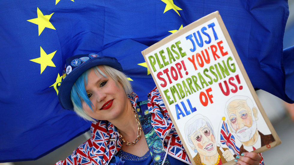 brexit protestor