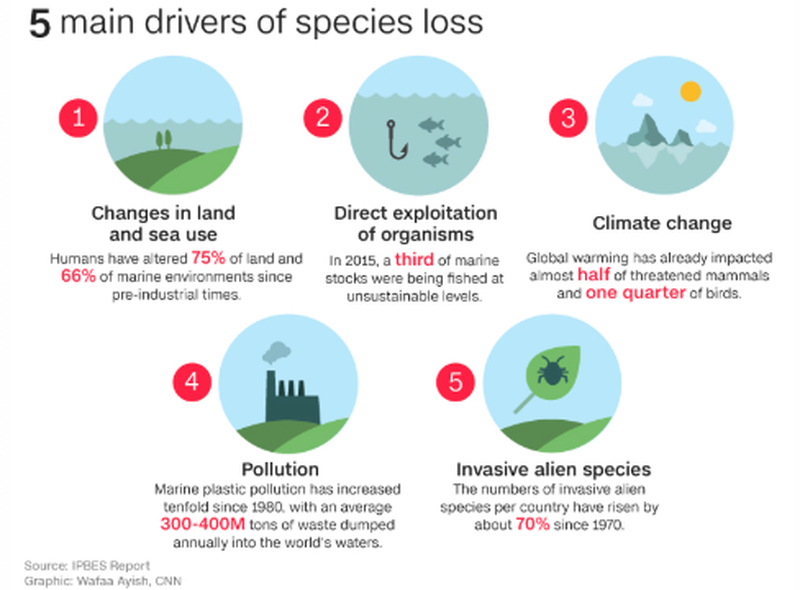 drivers of species loss