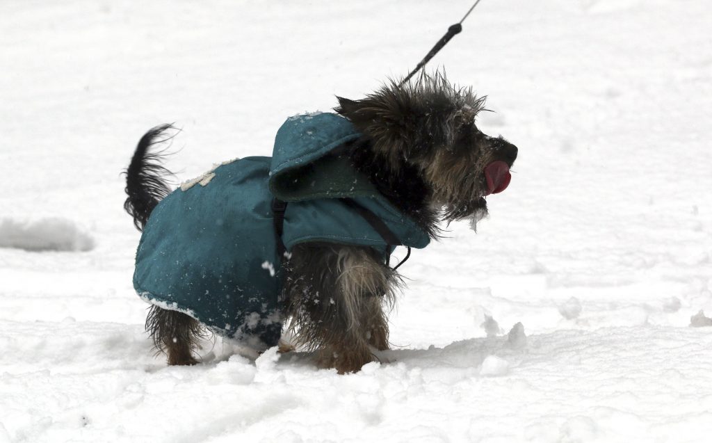 Click to enlarge snow