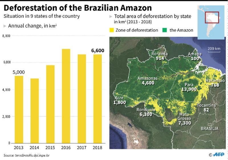Click to enlarge Deforestation in Brazil