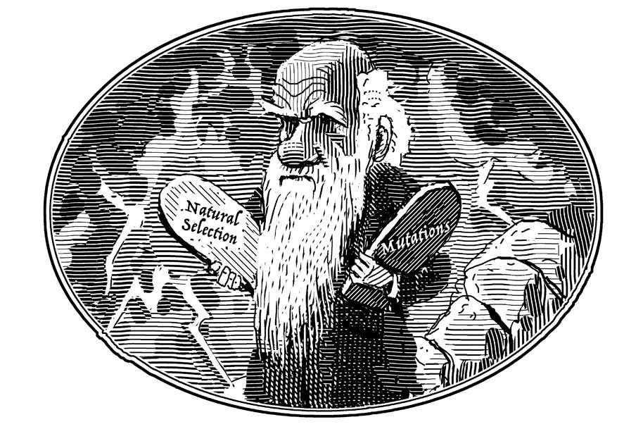 Click to enlarge darwinism