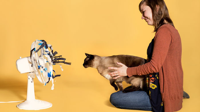 Click to enlarge cat floor fan