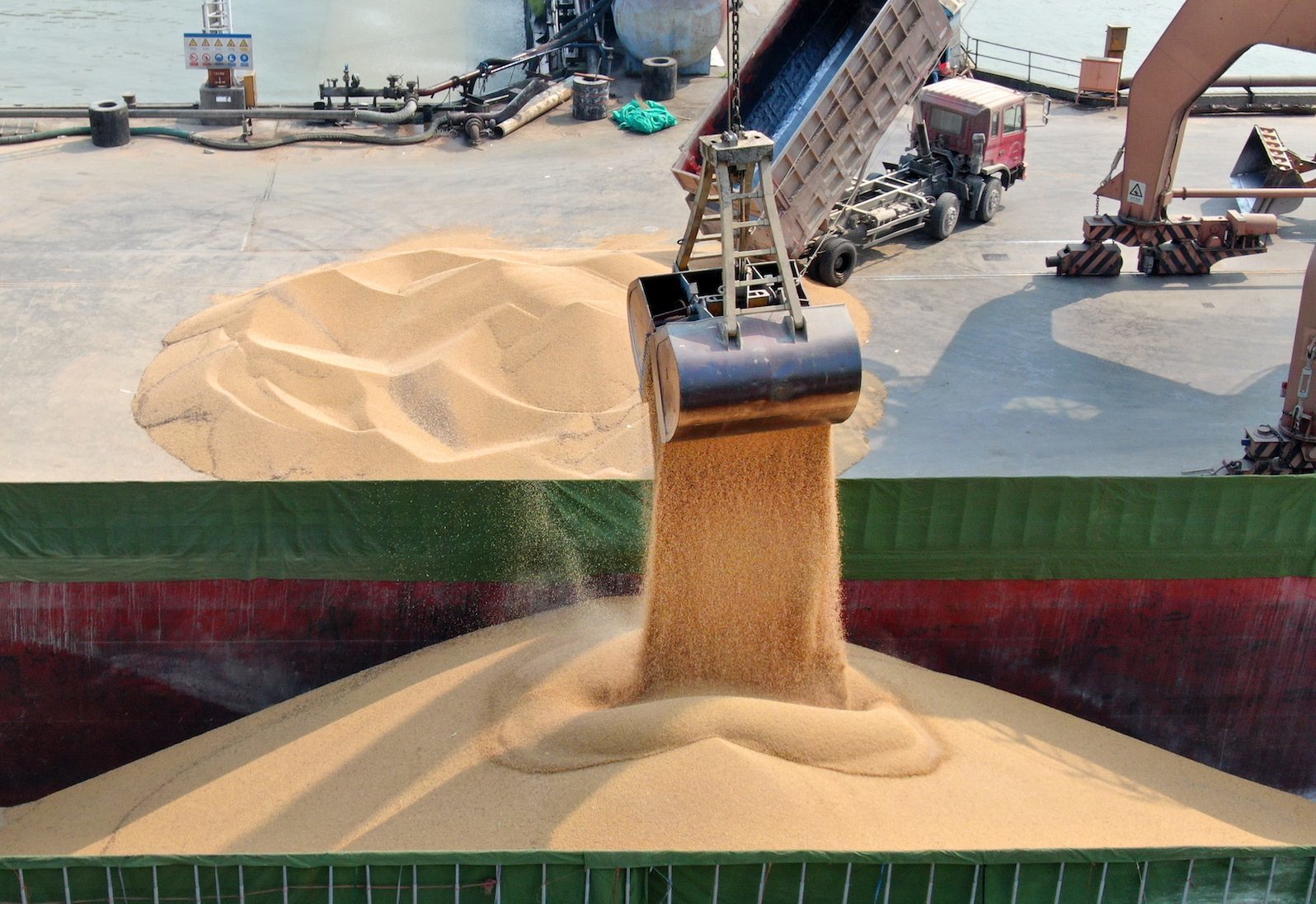 Click to enlarge soybean