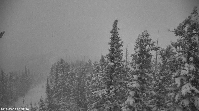 Angel Fire Resort