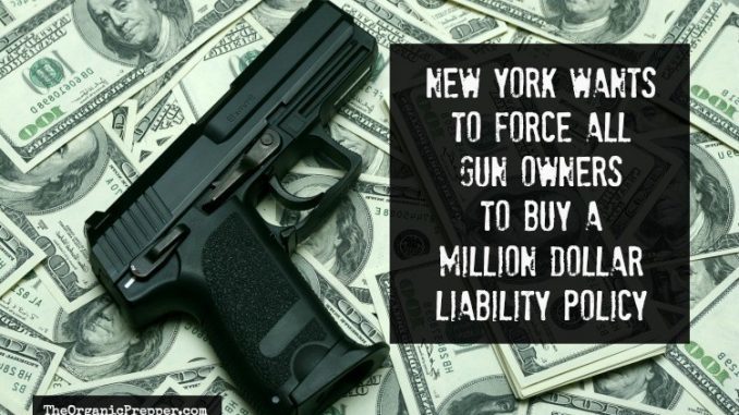 New Yoek gun insurance