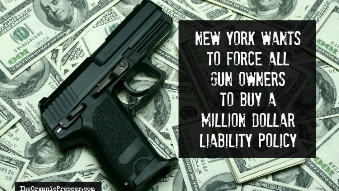 Click to enlarge New Yoek gun insurance