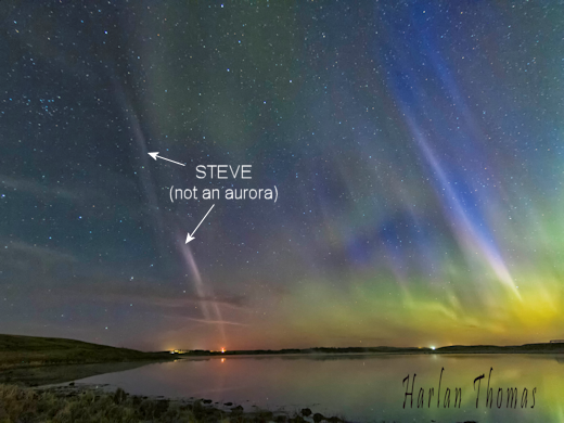 Auroras and STEVE