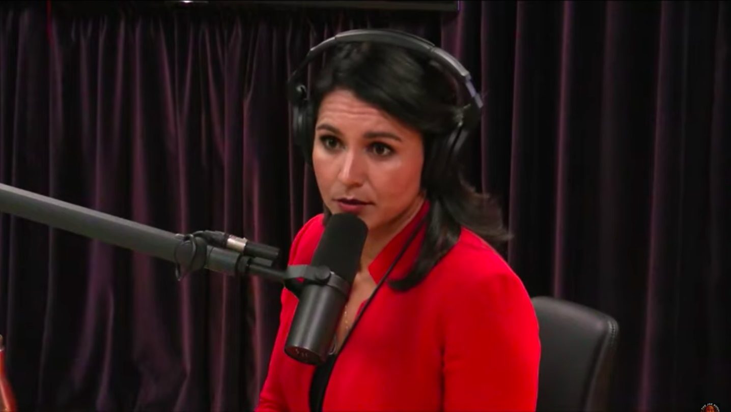 Click to enlarge tulsi on joe rogan