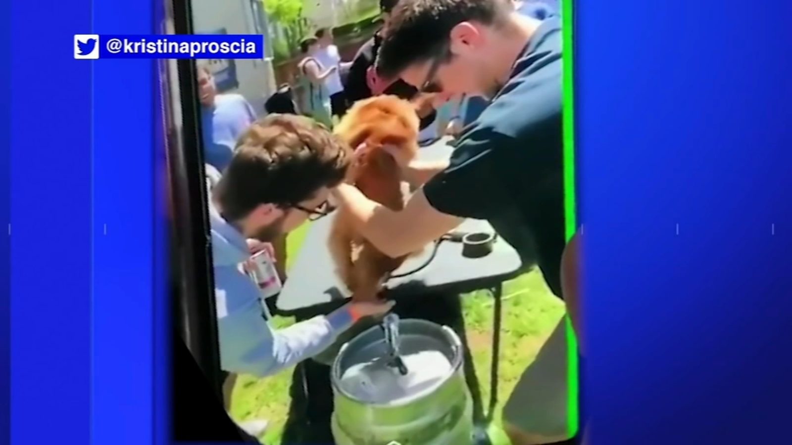 dog forced drink beer from keg